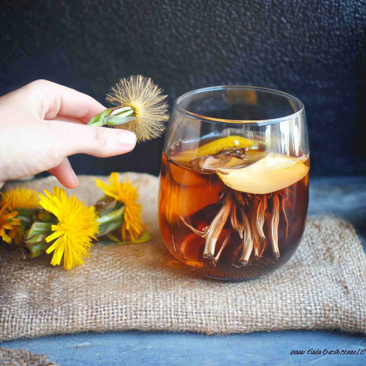 Vibrant Dandelion Soda Recipe