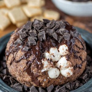 Gooey Chocolate Smores Cheeseball Recipe