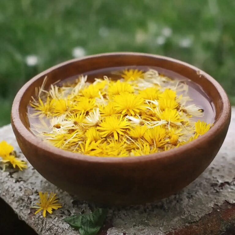 Vibrant Dandelion Bitter Recipe