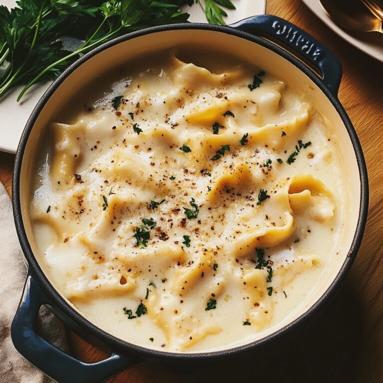 Creamy White Chicken Lasagna Soup Recipe