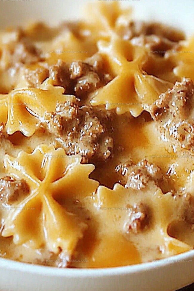 Why Creamy Velveeta Beef & Bowtie Pasta Hits The Spot