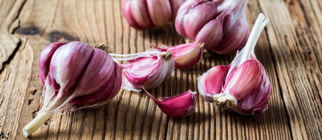 Ajo Morado De Las Pedroneras