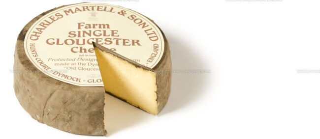 Single Gloucester