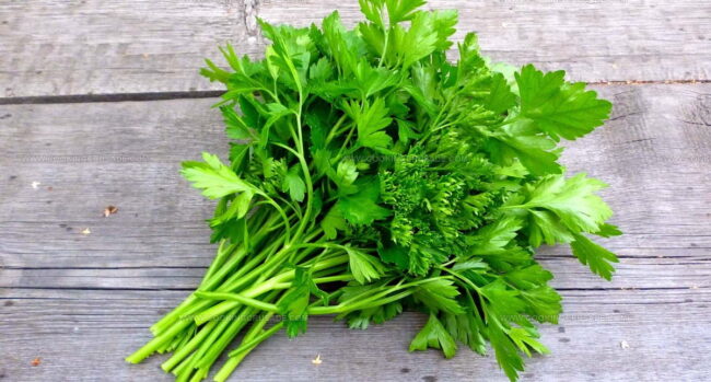 For Salsas and Fresh Salads (Leaves)