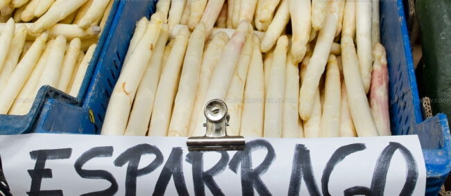 Esparrago De Navarra