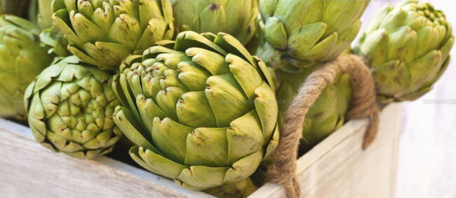 Alcachofa De Benicarlo