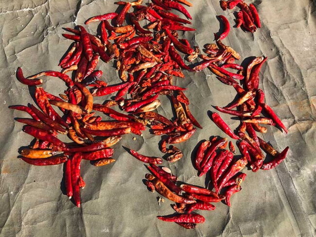 What Makes Sesame Chicken And General Tsos Chicken Different From Each Other?