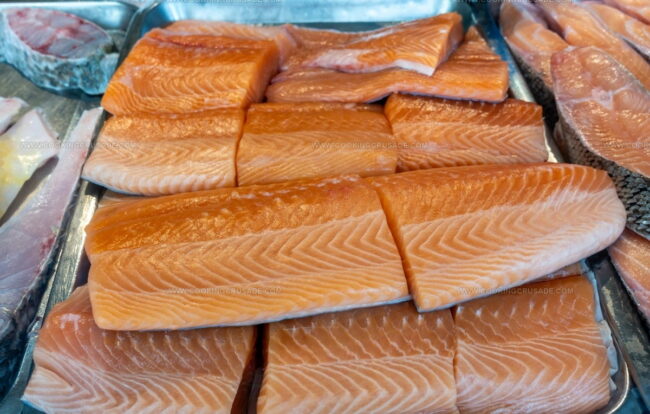 Fresh Trout and Salmon